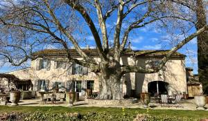 Venta Finca L'Isle-sur-la-Sorgue