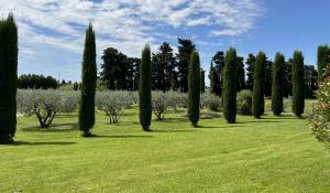 Venta Finca L'Isle-sur-la-Sorgue