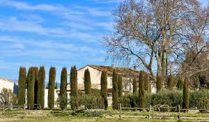 Venta Finca L'Isle-sur-la-Sorgue