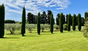 Venta Finca L'Isle-sur-la-Sorgue