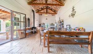 Venta Finca L'Isle-sur-la-Sorgue