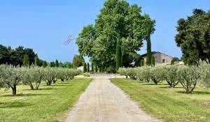 Venta Finca L'Isle-sur-la-Sorgue