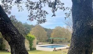 Venta Finca Ménerbes