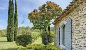 Venta Finca Ménerbes