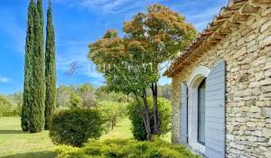 Venta Finca Ménerbes