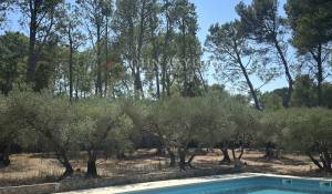 Venta Finca Saint-Rémy-de-Provence