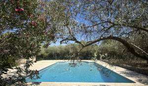 Venta Finca Saint-Rémy-de-Provence