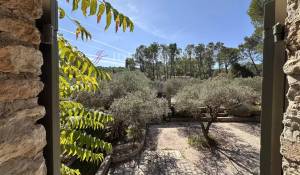 Venta Finca Saint-Rémy-de-Provence