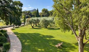 Venta Finca Saint-Rémy-de-Provence