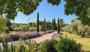 Venta Finca Saint-Rémy-de-Provence