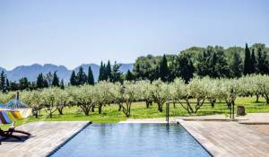 Venta Finca Saint-Rémy-de-Provence