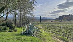 Venta Finca Villedieu