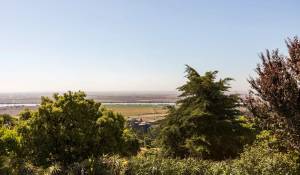 Venta Granja Vila Franca de Xira