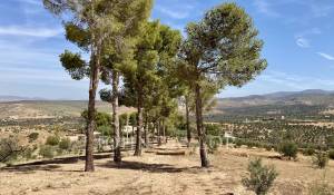 Venta Palacete Marrakech