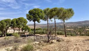 Venta Palacete Marrakech