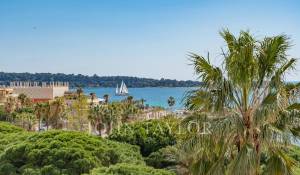 Venta Piso Cannes