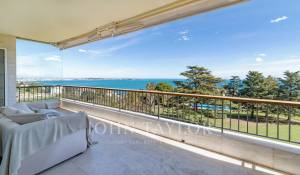 Venta Piso Cannes