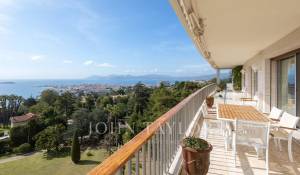 Venta Piso Cannes