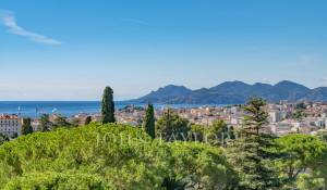 Venta Piso Cannes
