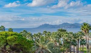 Venta Piso Cannes