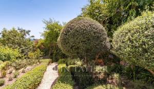 Venta Piso Cas Català