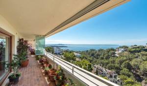 Venta Piso Cas Català