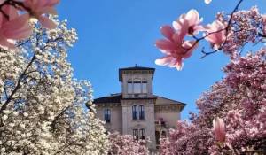 Venta Piso Milano