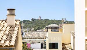 Venta Piso Palma de Mallorca