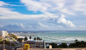 Venta Piso Palma de Mallorca