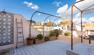 Venta Piso Palma de Mallorca