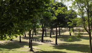 Venta Piso Pozuelo de Alarcón