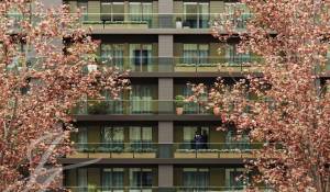 Venta Piso Santo António