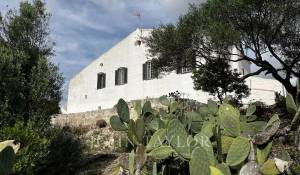 Venta Propiedad Alaior