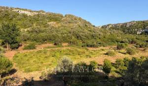 Venta Propiedad Alaior