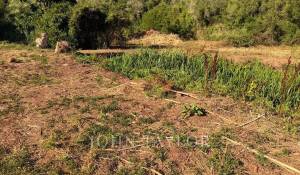 Venta Propiedad Alaior