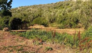 Venta Propiedad Alaior
