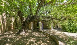 Venta Propiedad Bonnieux