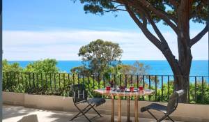 Venta Propiedad Cannes