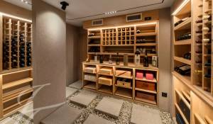 Venta Propiedad Cologny