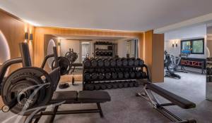 Venta Propiedad Cologny