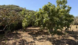Venta Propiedad Es Mercadal