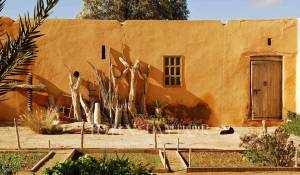 Venta Propiedad Essaouira