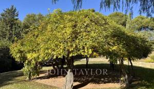 Venta Propiedad La Cadière-d'Azur