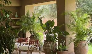 Venta Propiedad Marrakech