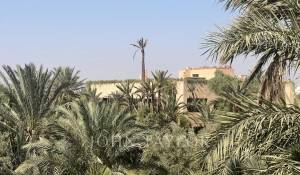 Venta Propiedad Marrakech