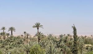 Venta Propiedad Marrakech