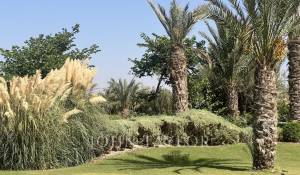 Venta Propiedad Marrakech