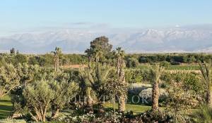 Venta Propiedad Marrakech