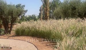 Venta Propiedad Marrakech