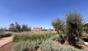 Venta Propiedad Marrakech